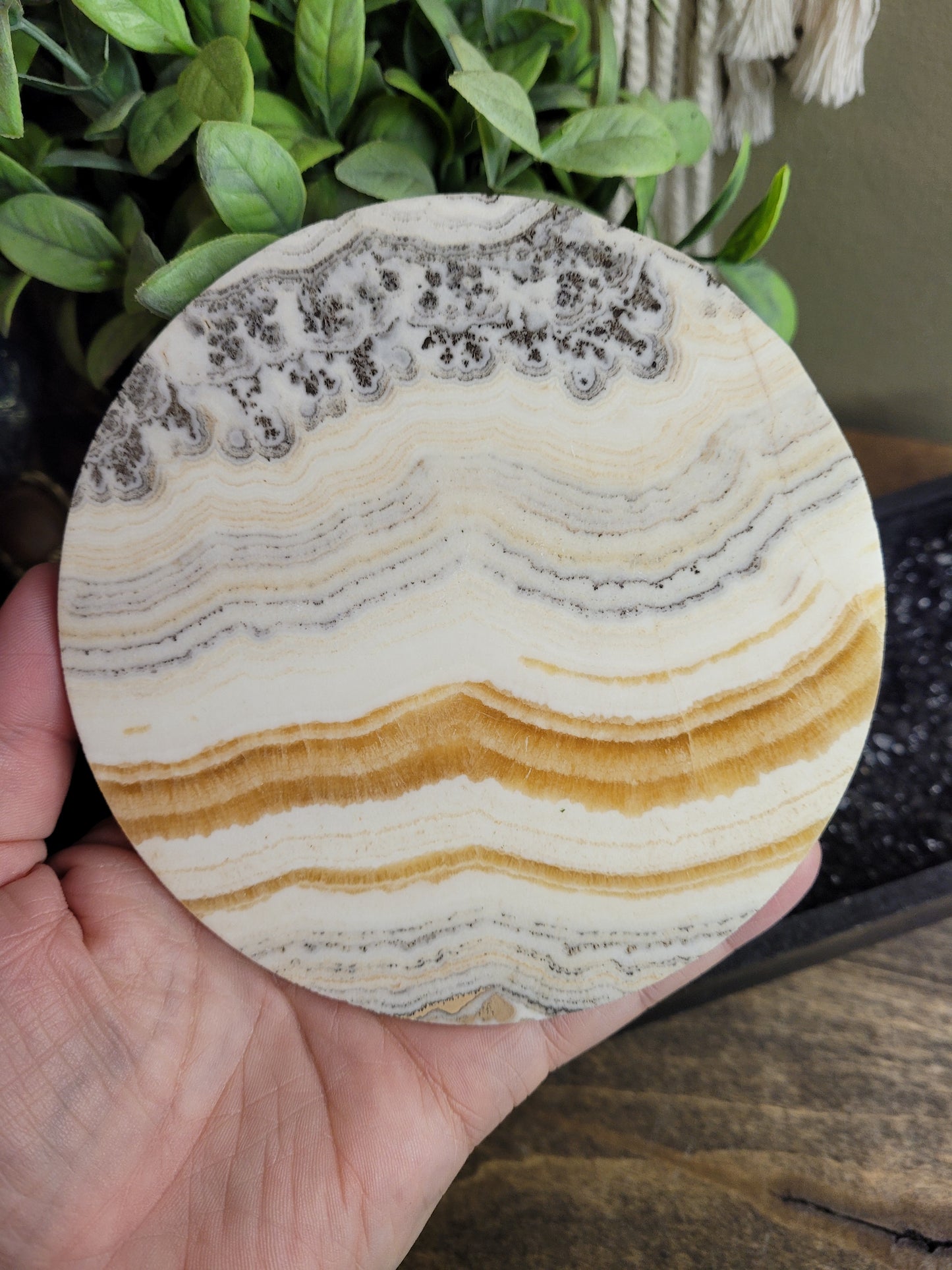 Dendritic Banded Yellow Calcite Circle | Slab