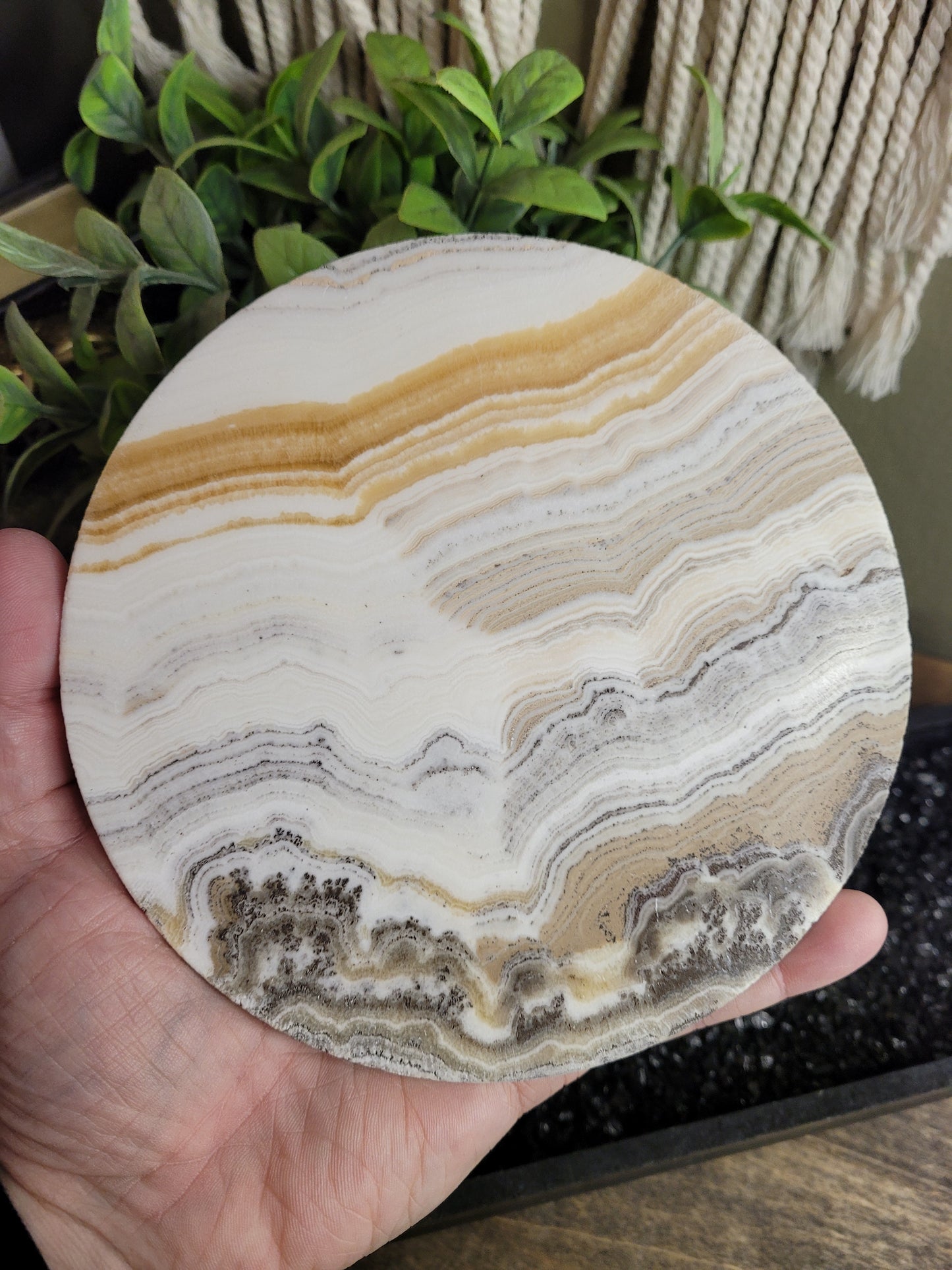 Dendritic Banded Yellow Calcite Circle | Slab